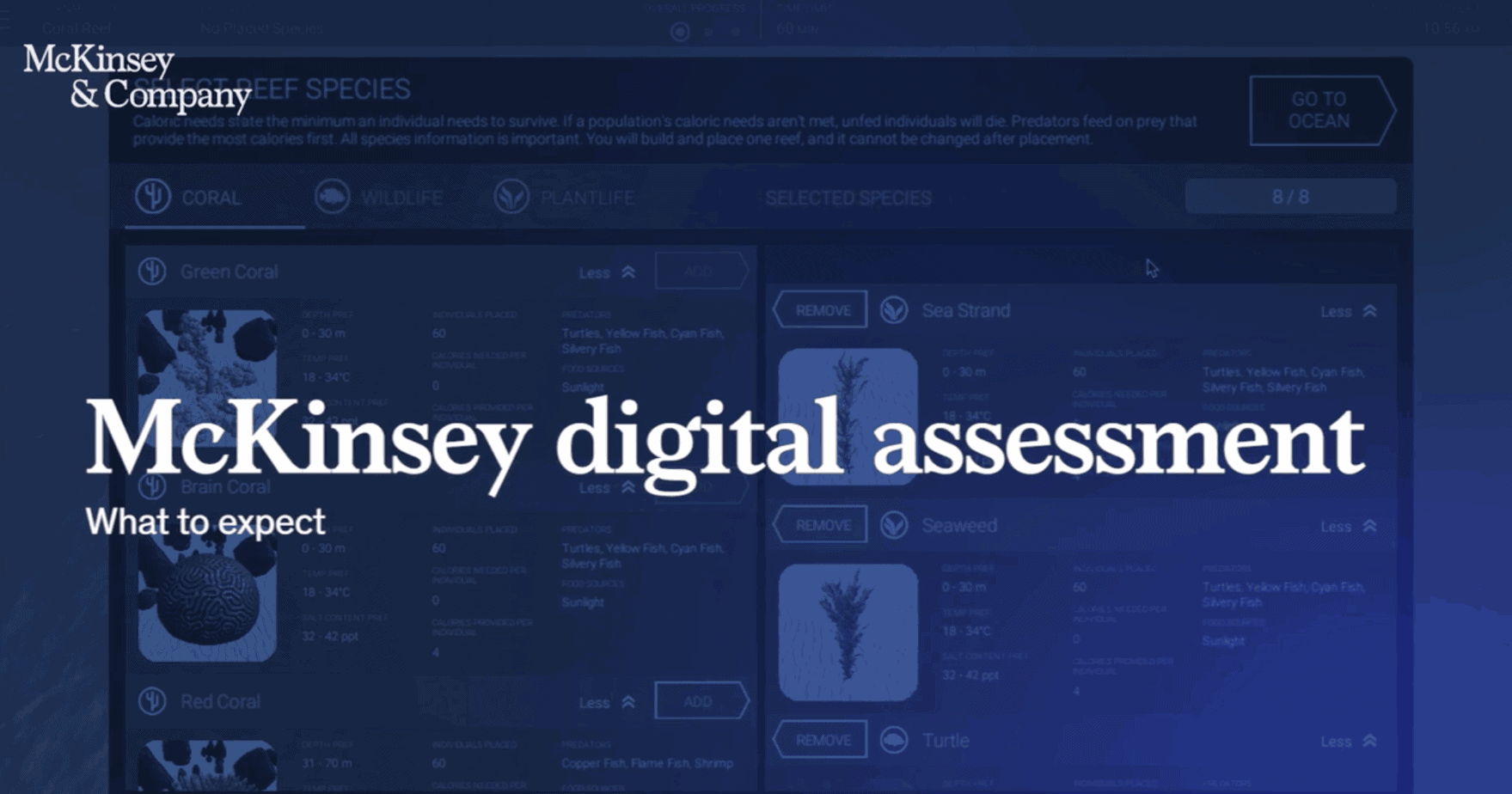 McKinsey Digital Assessment